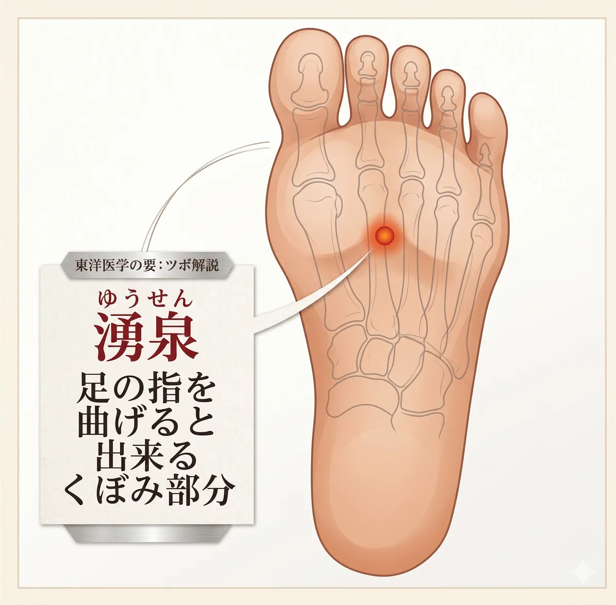 湧泉（ゆうせん）のツボ解説