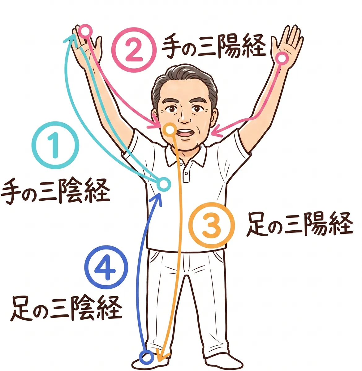 気と経絡の循環図